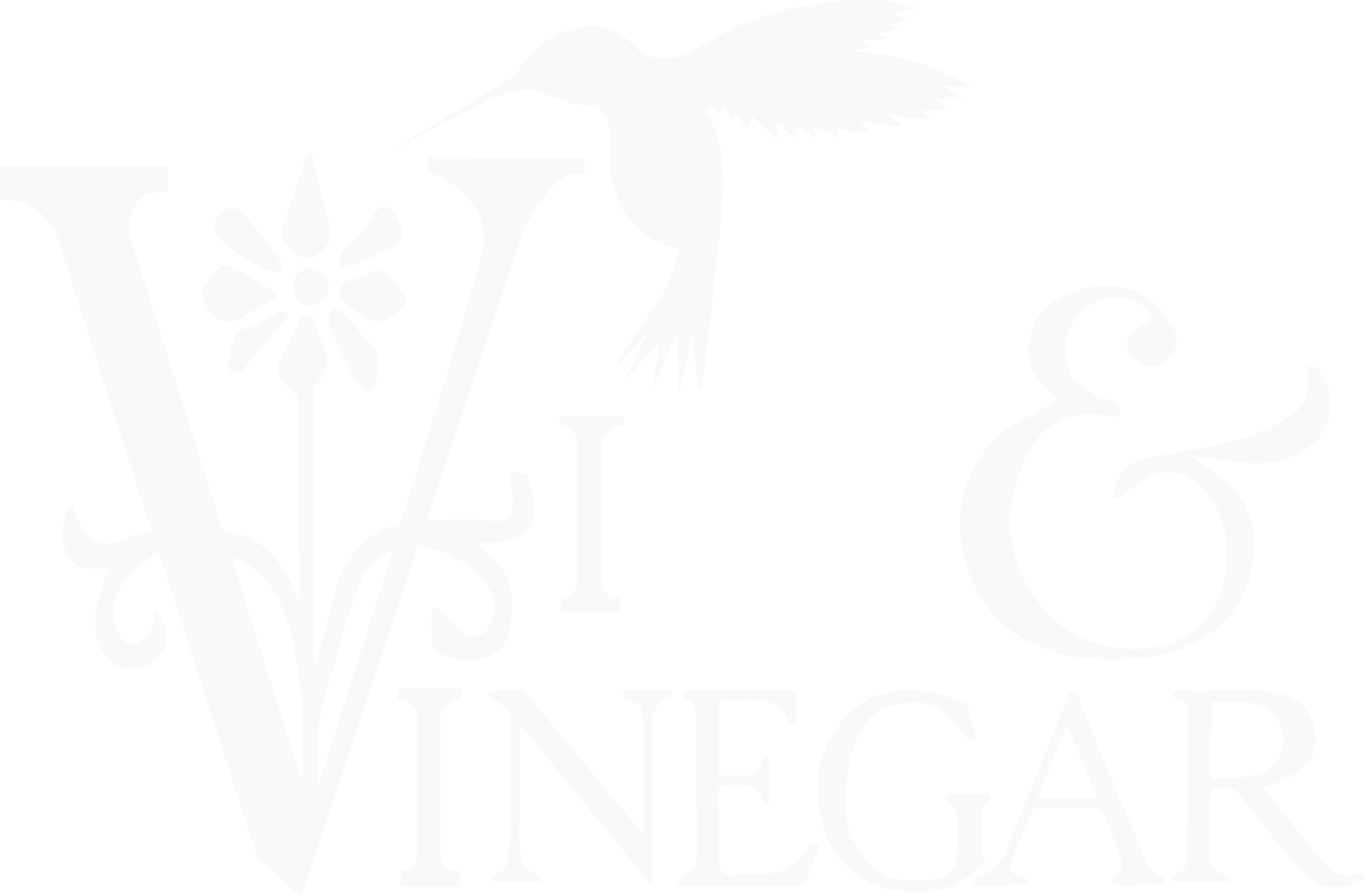 Vim and Vinegar logo